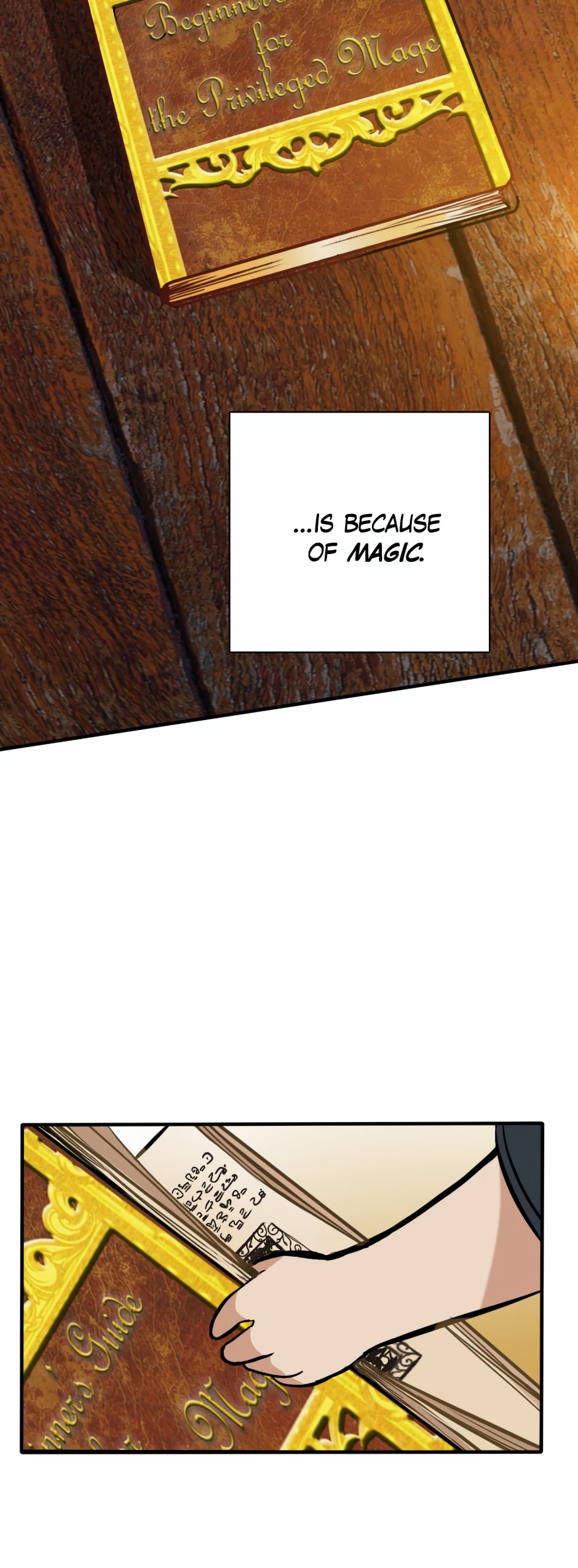 The Beginning After the End, Chapter 2 image 35